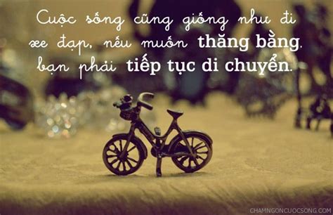 Xin Chào Xawery: Sự Thật Về Cuộc Thiền Trong Cung Điện và Những Tin Đồn Vụng Trộm!